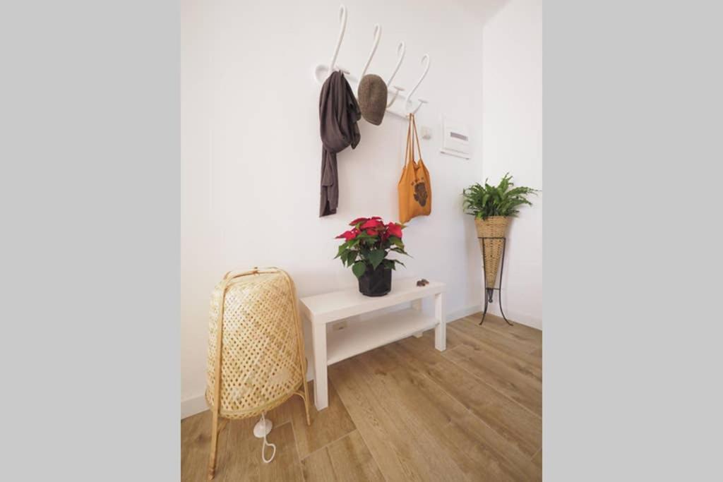 Apartaments Sa Calm Sant Miquel De Les Formigues Sant Hilari Sacalm Zewnętrze zdjęcie